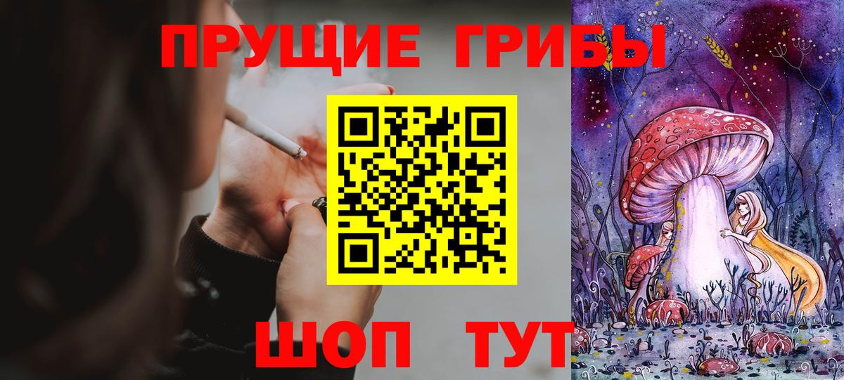 Троицк  Псилоцибиновые грибы мицелий  Вход с VPN 