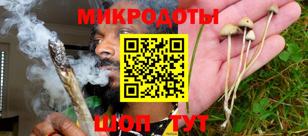 Галлюциногенные грибы прущие грибы Троицк